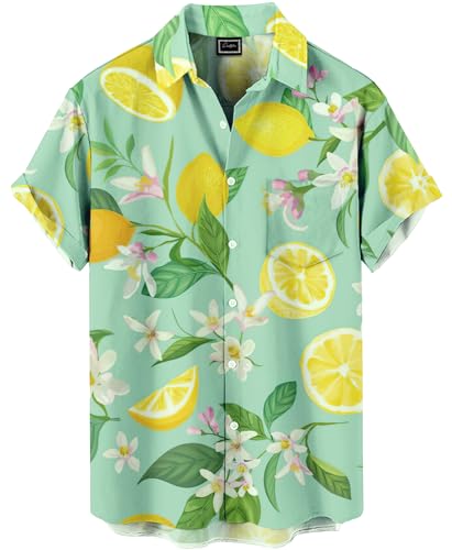 Men's Floral Bird Print Button-Down Shirt, Short Sleeve, White with Blue Pattern, Regular Fit